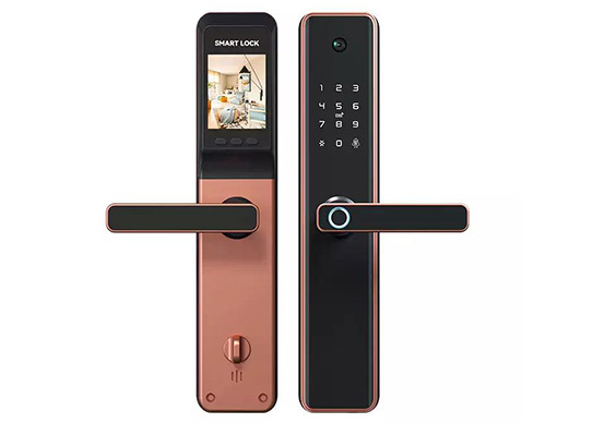 Rostoucí trh China Smart Lock
